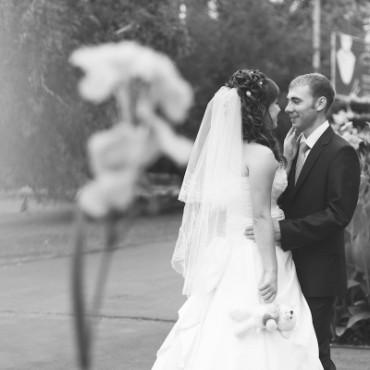 Фотография #276632, свадебная фотосъемка, автор: Татьяна Тимохина
