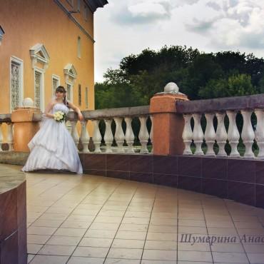 Фотография #279504, свадебная фотосъемка, автор: Анастасия Шумерина