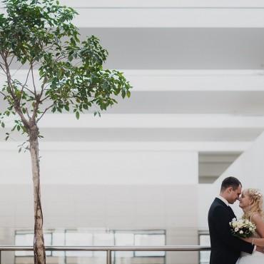 Фотография #282402, свадебная фотосъемка, автор: Макс Козлов