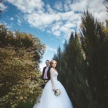 Фотография #278045, свадебная фотосъемка, автор: Макс Козлов
