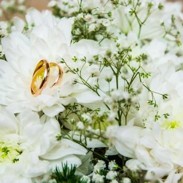 Фотография #280431, предметная фотосъемка, автор: Александр Колдов