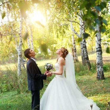 Фотография #281378, свадебная фотосъемка, автор: Андрей Ларионов