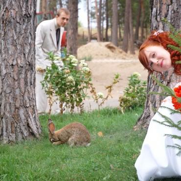 Фотография #281733, свадебная фотосъемка, автор: Юлия Лимур