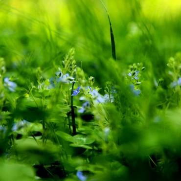 Фотография #282733, выездная фотосъемка, автор: Дарья Бахлукова