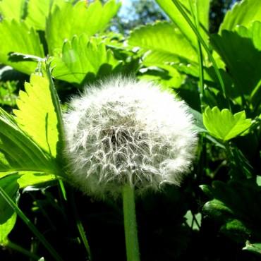 Фотография #283393, выездная фотосъемка, автор: Дарья Бахлукова