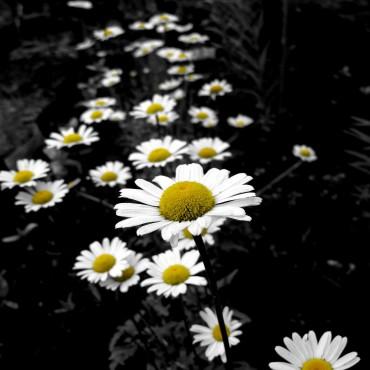 Фотография #283389, выездная фотосъемка, автор: Дарья Бахлукова