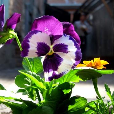 Фотография #283390, выездная фотосъемка, автор: Дарья Бахлукова