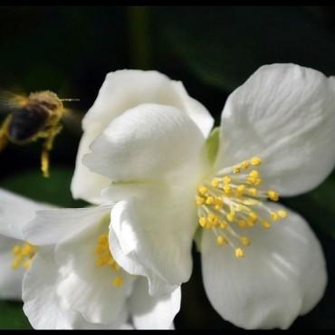 Фотография #297272, , автор: Павел Пироговский