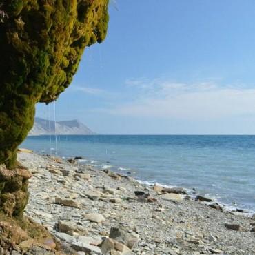 Фотография #297266, , автор: Павел Пироговский