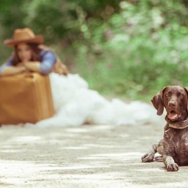 Фотография #285226, lovestory, автор: Тарасов Андреевич