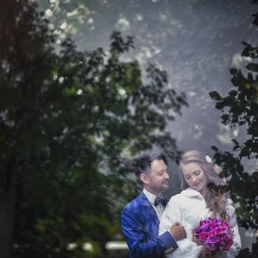 Фотография #286390, свадебная фотосъемка, автор: Дмитрий Емец