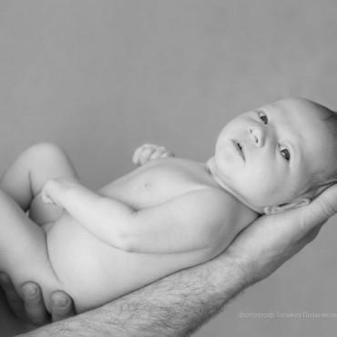 Фотография #286763, семейная фотосъемка, автор: Татьяна Позднякова