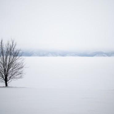 Фотография #298046, , автор: Юлия Акимова