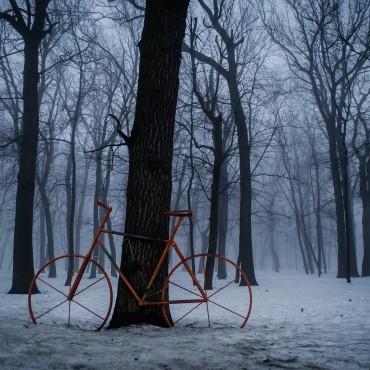 Фотография #298041, , автор: Юлия Акимова