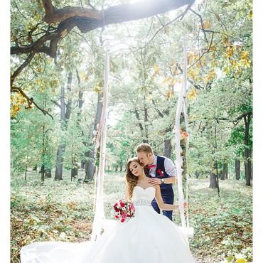 Фотография #292838, свадебная фотосъемка, автор: Дарья Солнцева