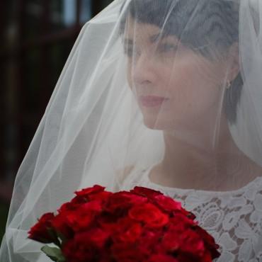Фотография #293122, свадебная фотосъемка, автор: Дмитрий Титов
