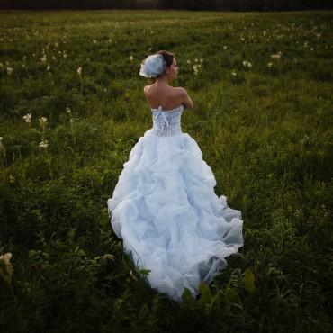 Фотография #293108, свадебная фотосъемка, автор: Дмитрий Титов