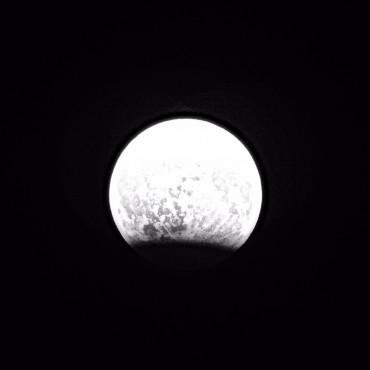 Фотография #293731, предметная фотосъемка, автор: Анна Солнцева