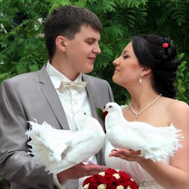Фотография #293761, свадебная фотосъемка, автор: Кристина Валеева