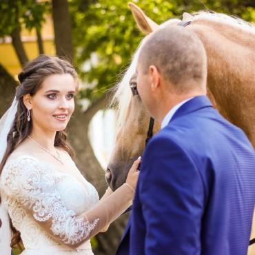 Фотография #296009, свадебная фотосъемка, автор: Диана Анисимова