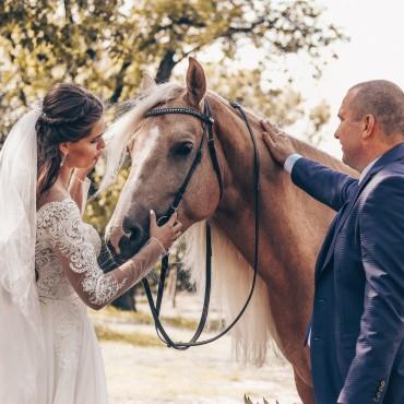 Фотография #296014, свадебная фотосъемка, автор: Диана Анисимова