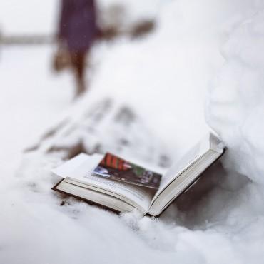 Фотография #299044, , автор: Елена Усманова