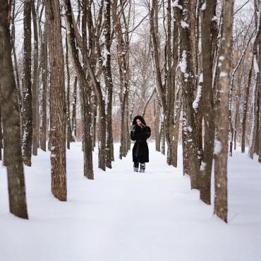 Фотография #299059, , автор: Елена Усманова