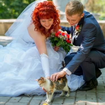 Фотография #533524, свадебная фотосъемка, автор: Олег Хмельницкий