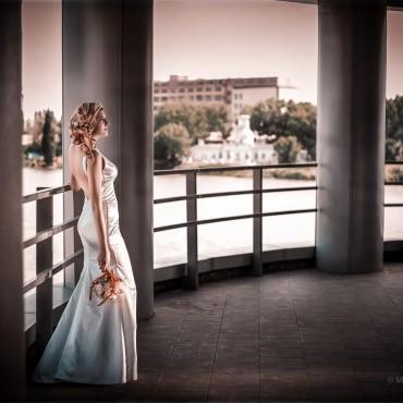 Фотография #533585, свадебная фотосъемка, автор: Олег Сотник