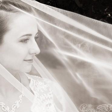 Фотография #534118, свадебная фотосъемка, автор: Ольга Сахронова