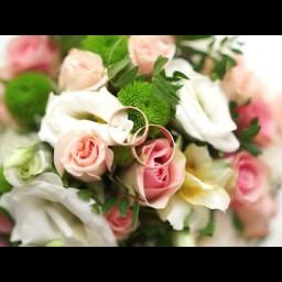 Видео #614825, автор: Ильнур Муслимов