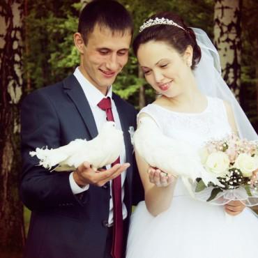 Фотография #616065, свадебная фотосъемка, автор: Александра Саликова