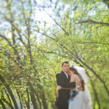 Фотография #576529, свадебная фотосъемка, автор: Алексей Астрединов