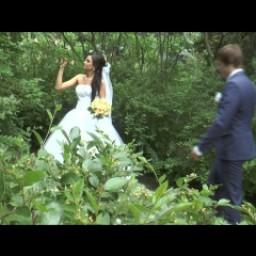 Видео #576042, автор: Александр Петраков