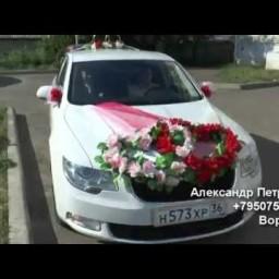 Видео #575946, автор: Александр Петраков Видео #575946, автор: Александр Петраков