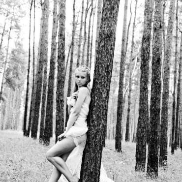 Фотография #579008, автор: Ксения Сергеева