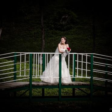 Фотография #579389, свадебная фотосъемка, автор: оксана киселева