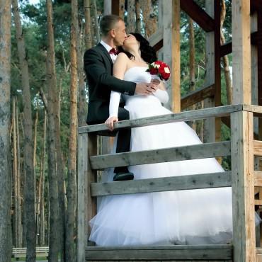 Фотография #580968, свадебная фотосъемка, автор: Вероника Янина