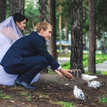 Фотография #582464, свадебная фотосъемка, автор: Татьяна Добудько