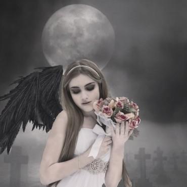 Фотография #586346, автор: Кристина Плотникова