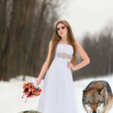 Фотография #586350, автор: Кристина Плотникова