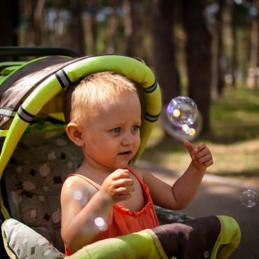 Фотография #587621, автор: Инна Ланкина Фотография #587621, автор: Инна Ланкина