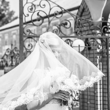 Фотография #589141, свадебная фотосъемка, автор: Оксана Муравьва