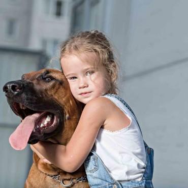 Фотография #592225, , автор: Студия Владимира Годника 