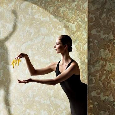 Фотография #592237, , автор: Студия Владимира Годника 