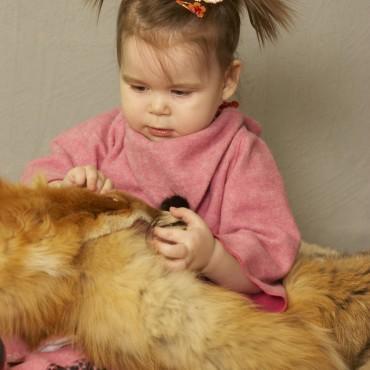 Фотография #596166, детская фотосъемка, автор: Юрий Долматов