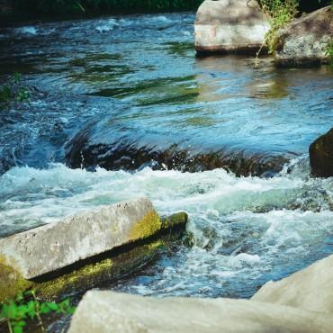 Фотография #607812, , автор: Яна Черных