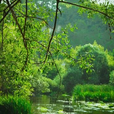 Фотография #607811, , автор: Яна Черных