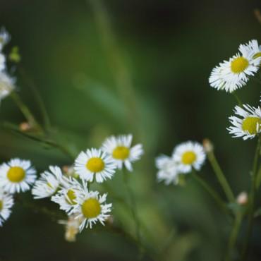 Фотография #607810, , автор: Яна Черных