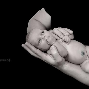 Альбом: Newborn (новорожденные), 10 фотографий